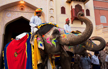 Elephant Ride, Jaipur