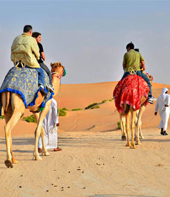 camel-ride-dubai