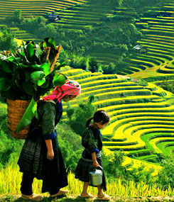 lao-cai-village