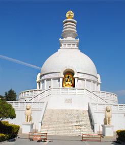 world-peace-stupa